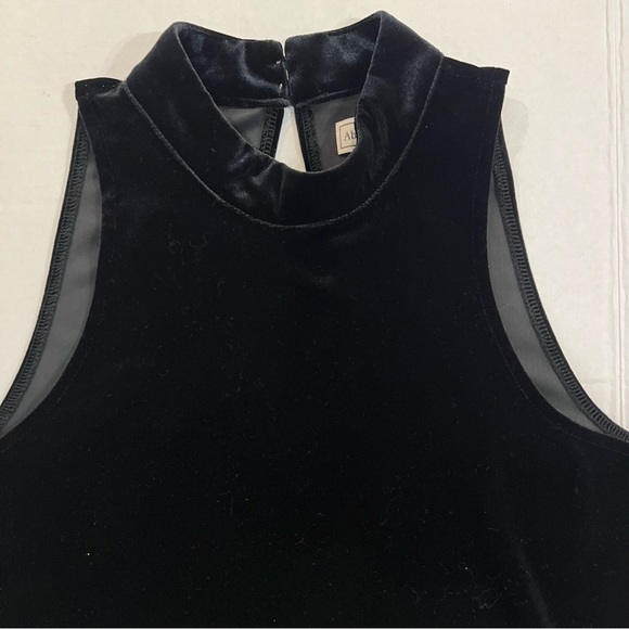 Abercrombie & Fitch Velvet High-Neck Tank - Picture 4 of 6